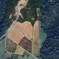 SCANDICCI Terreno agricolo / vigneto / uliveto