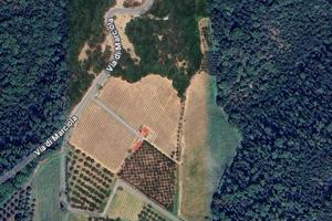 SCANDICCI Terreno agricolo / vigneto / uliveto