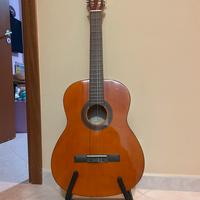 Chitarra Eko