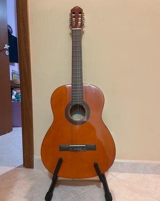 Chitarra Eko