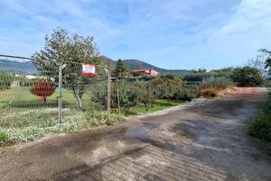 Terreno Agricolo Castel San Giorgio