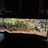 Acquario juwel rio 450