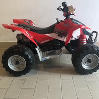 Quad Polaris Peg Perego