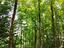 Immagine 26