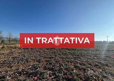 TER. AGRICOLO A SOMMACAMPAGNA