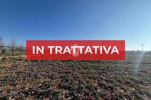 TER. AGRICOLO A SOMMACAMPAGNA