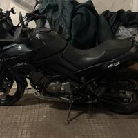 Suzuki V-Strom 650, anno 2006. “DL 650”