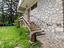 Immagine 27