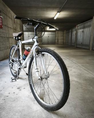 MTB TREK 950 single track