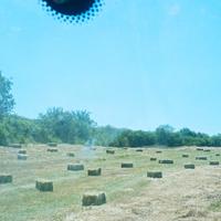 Fieno in presse