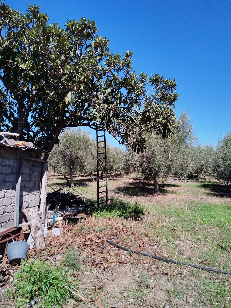 Vendita Terreno Agricolo - Vista 3