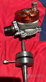 cilindro e albero stage6rt piaggio