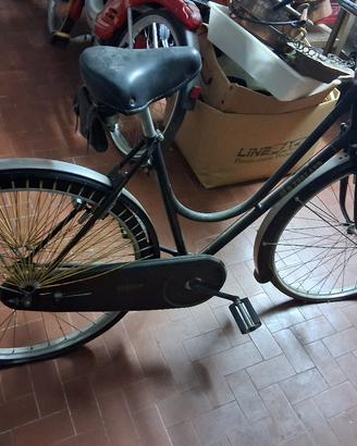 bicicletta 