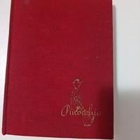 Pinocchio, edizione 1961, illustrazioni di Ranieri