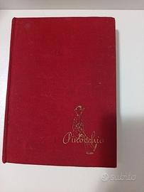 Pinocchio, edizione 1961, illustrazioni di Ranieri