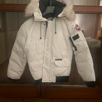 Canada goose  bianco