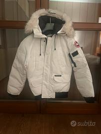 Canada goose  bianco