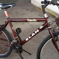 mountain bike ruote 24
