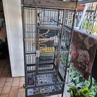 Gabbia per uccelli e pappagalli