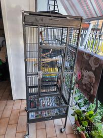 Gabbia per uccelli e pappagalli