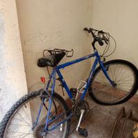 Bicicletta ragazzo
