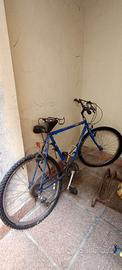 Bicicletta ragazzo