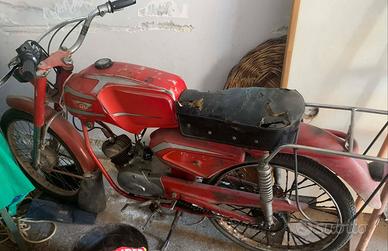 Ciclomotore 50 Testi SGP-3 con libretto