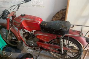 Ciclomotore 50 Testi SGP-3 con libretto