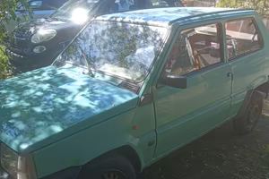 Fiat panda 2002 young