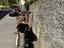 Immagine 6