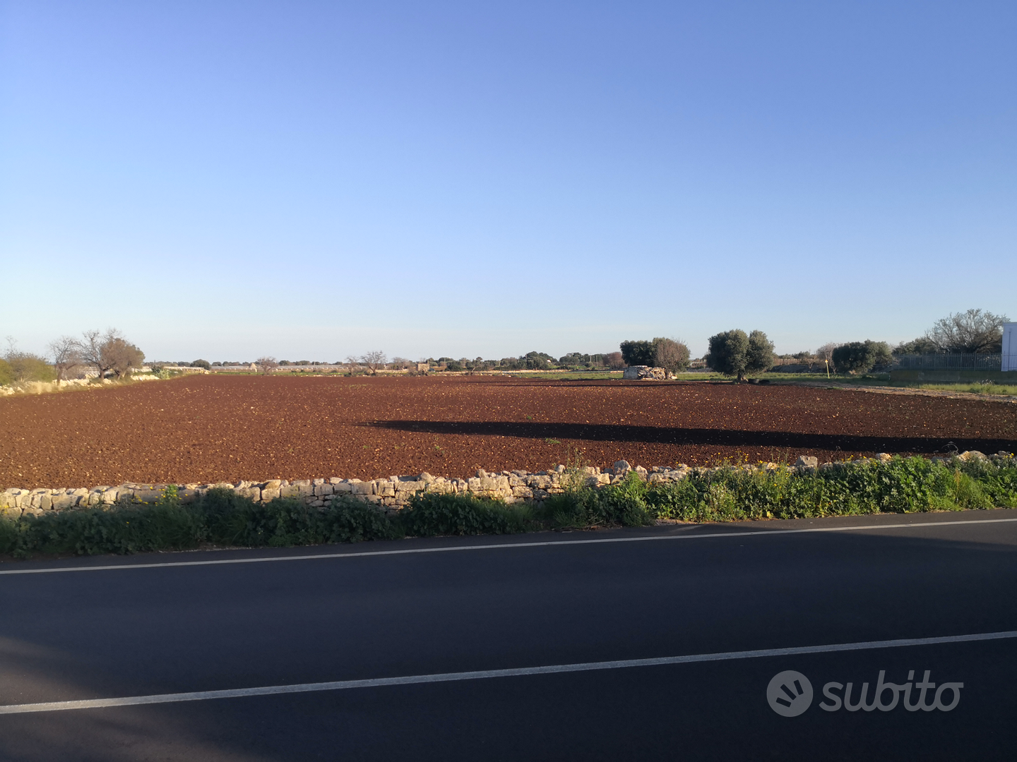 Terreno seminativo Uliveto - Vista 5