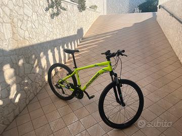 bicicletta