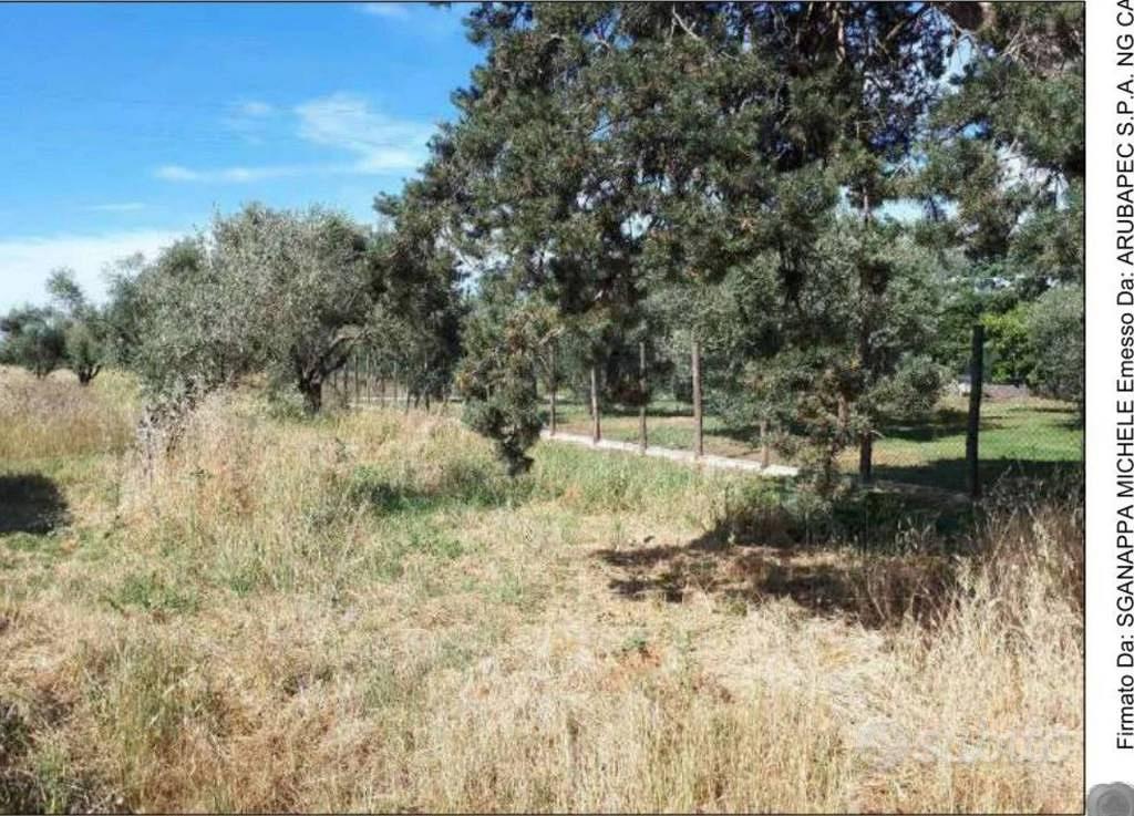 Immobile in asta di 15320 m² a Nepi - Vista 3