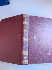 amore nella stagione calda di Shelby Foote