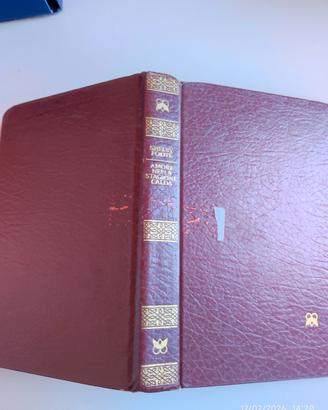 amore nella stagione calda di Shelby Foote