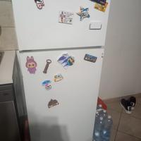 frigo