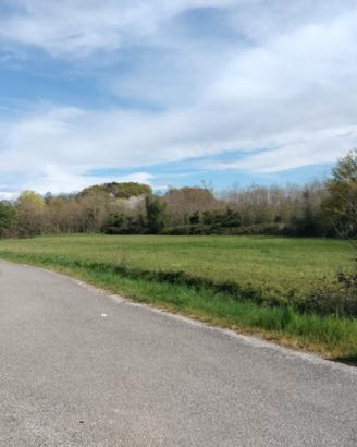Lotti i terreno agricolo/boschivi di 11.000mq