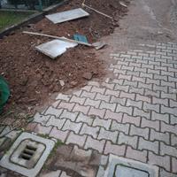 Terra per giardino/orto