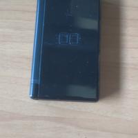 NINTENDO DS litle 