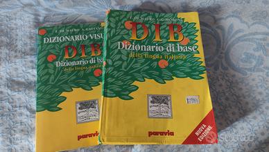 DIB Dizionario di base 