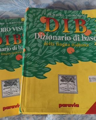 DIB Dizionario di base 