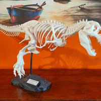 Tyrannosaurus Rex - 1 metro