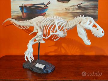 Tyrannosaurus Rex - 1 metro