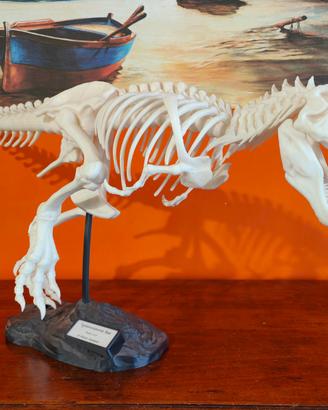 Tyrannosaurus Rex - 1 metro