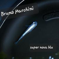 Medaka super nova blu