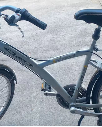 Bicicletta da donna