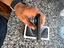 Immagine 4