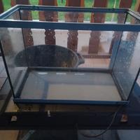 Acquario 40x20x22