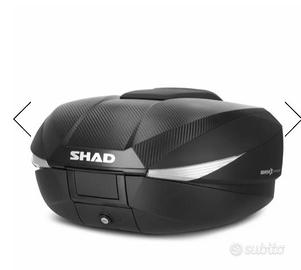 Bauletto Shad sh58x carbon look