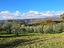 Immagine 14